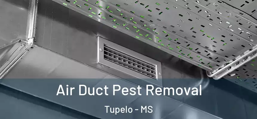 Air Duct Pest Removal Tupelo - MS
