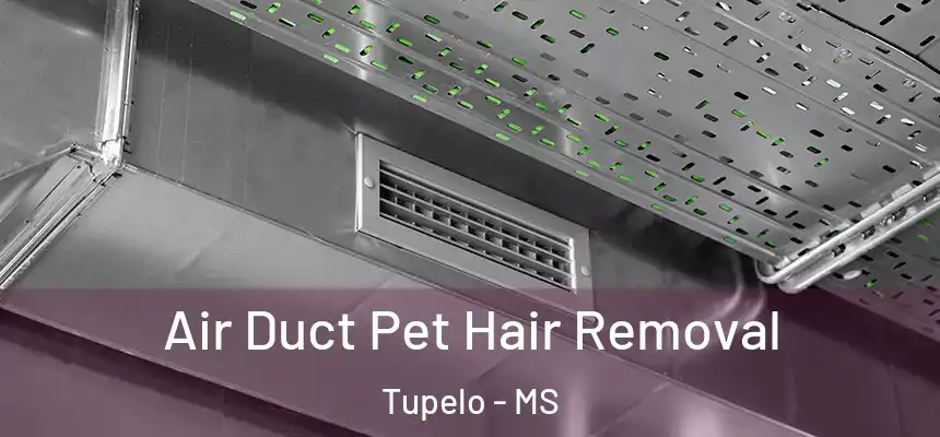 Air Duct Pet Hair Removal Tupelo - MS