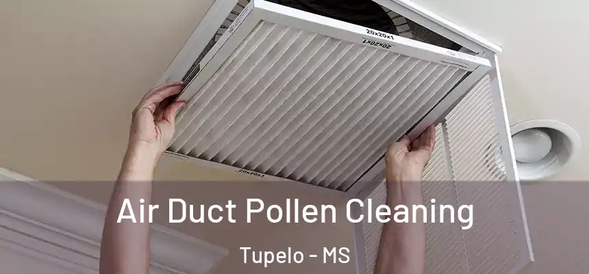  Air Duct Pollen Cleaning Tupelo - MS