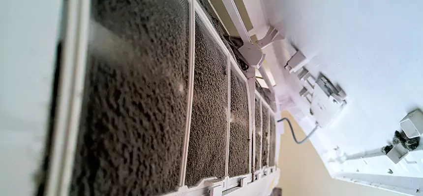 Preventive Air Duct Bacteria Removal in Tupelo