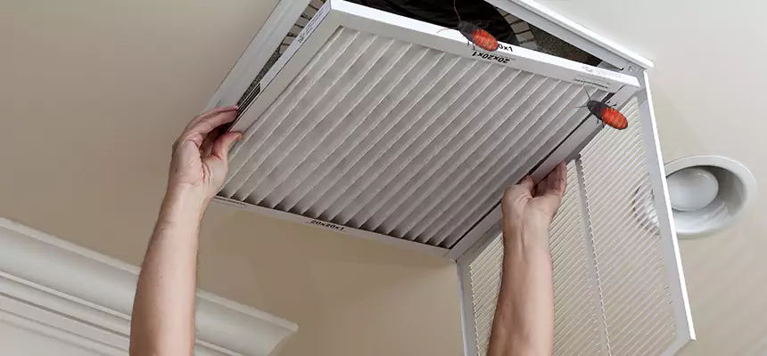 Our Insect Removal from Air Ducts Services in Tupelo, MS