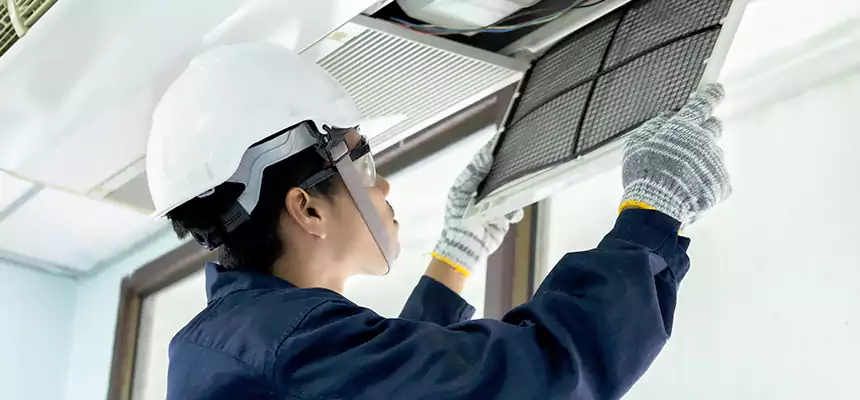 Our Mold & Mildew Removal from Air Ducts Services in Tupelo, MS