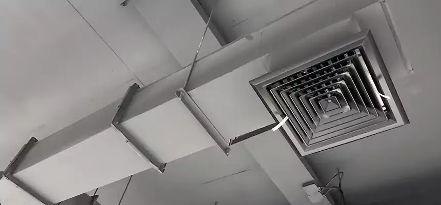 Our Rodent Droppings In Vents Services in Tupelo, MS