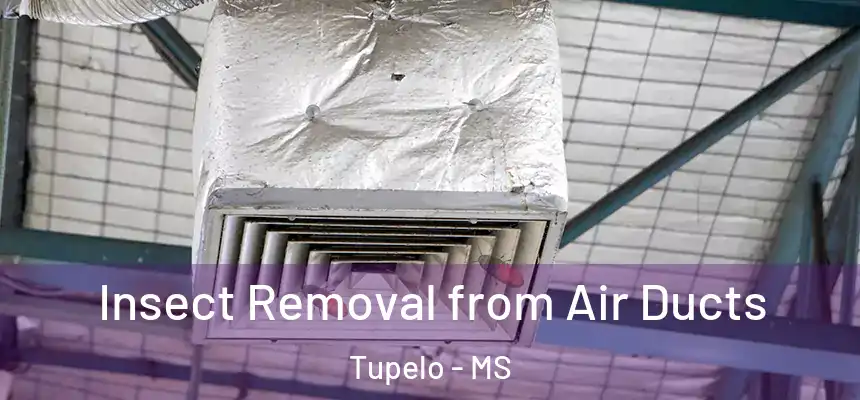 Insect Removal from Air Ducts Tupelo - MS