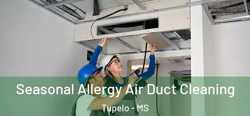  Seasonal Allergy Air Duct Cleaning Tupelo - MS