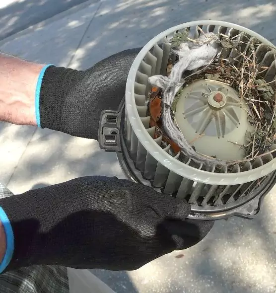 About Air Duct Rat Removal in Tupelo, MS