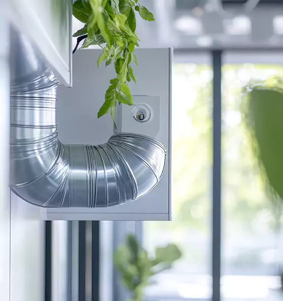 Professional Eco-Friendly Duct Cleaning Services in Tupelo, MS