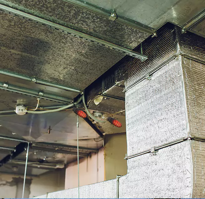 Why Homeowners & Businesses Trust Us in Tupelo, MS?