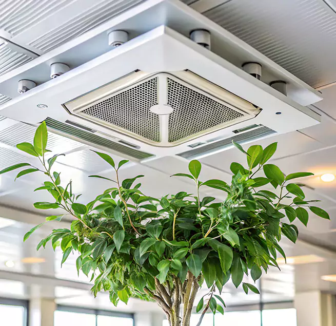 Why Homeowners & Businesses Trust Us in Tupelo, MS?